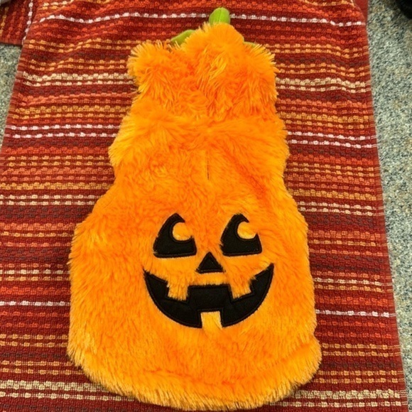 Pup Crew Size XS Pumpkin costume for dogs - Picture 1 of 4